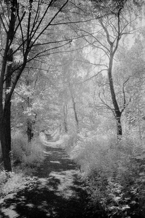 IR-Vf6-17