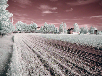 test1