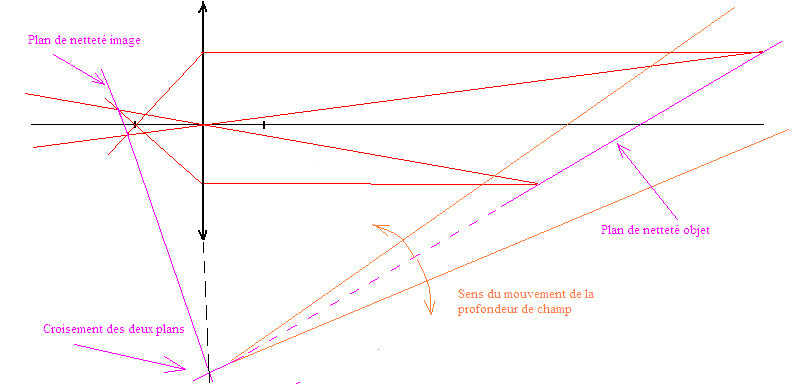 bascule